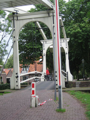 zu den Bildern
